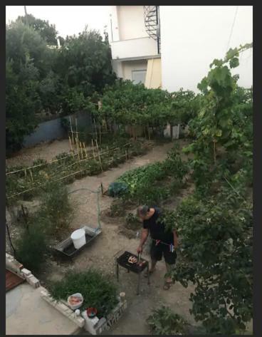 弗隆塔多斯Penelope公寓 外观 照片